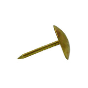 Centurion EB Upholstery Nails (pack of 30) - Pack of 5