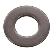 Centurion M10 SS Flat Washers   (100)
