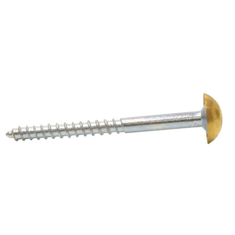 Centurion 50mm x 8 EB Dome Mirror Screws  (100)