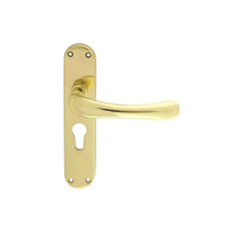 Ibra Lever On Backplate - Lock Euro Profile 47.5Mm C/C Otl (Polished Brass) - Polished Brass 185MM X 40MM
