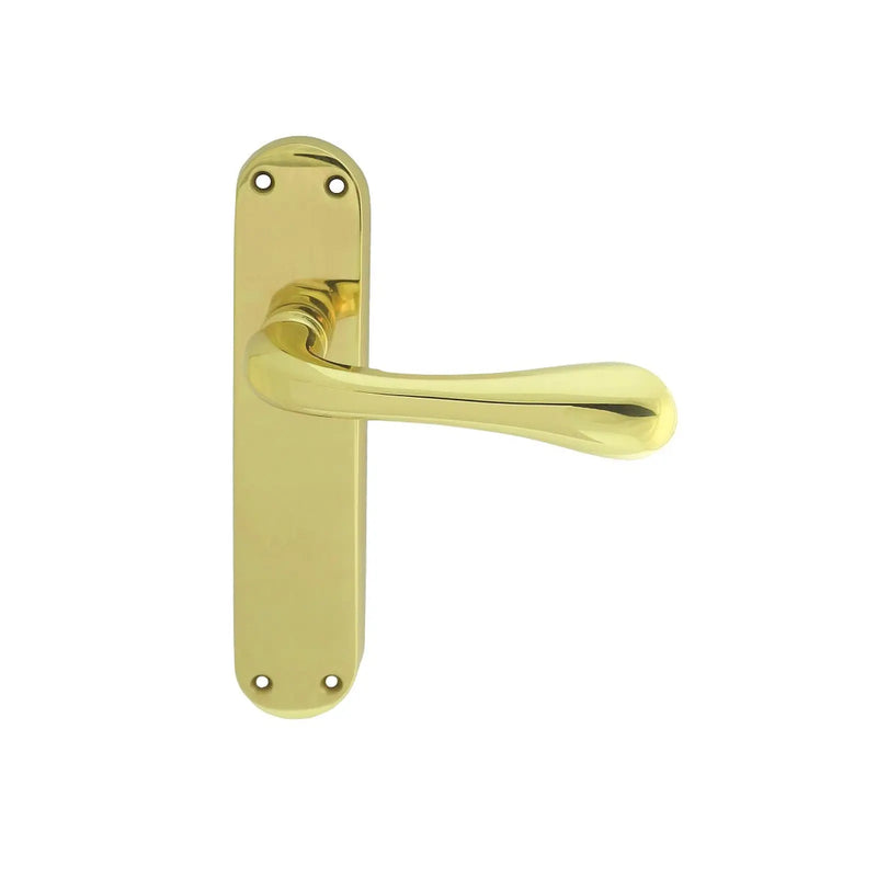 Astro Lever On Backplate - Latch Otl (Polished Brass) - Polished Brass 185MM X 40MM