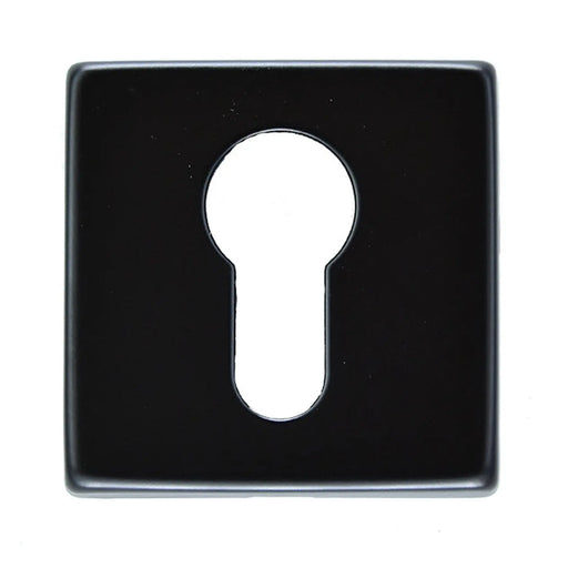 Escutcheon - Euro Profile On Concealed Fix Square Rose Artqe Nero (Matt Black) - Matt Black