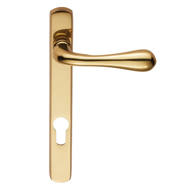 Narrow Plate - Astro Lever Lock Euro Profile Furniture (92Mm C/C ) (As1Np) Otl (Polished Brass) - Polished Brass 208MM X 26MM