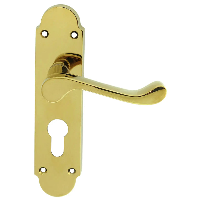 Oakley Lever On Face-Fix Backplate - Euro 47.5Mm - Polished Brass 170MM X 42MM