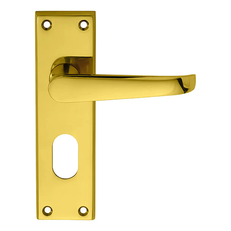 Victorian Lever On Backplate - Lock Oval Profile 48.5Mm C/C - Polished Brass 150MM X 43MM