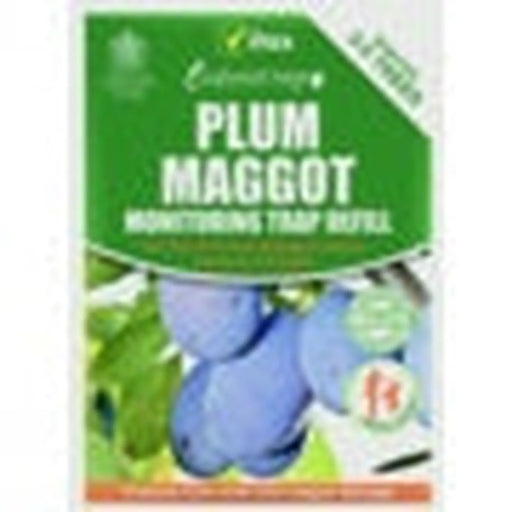 Vitax Plum Maggot Trap 35g Refill Pack