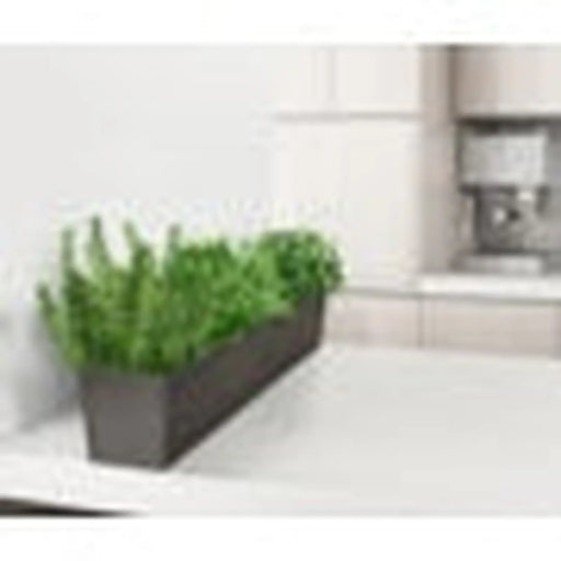 Primeur Sonata Trough Slate 15cm
