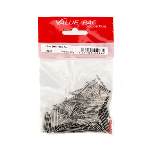 Centurion 25mm Steel Panel Pins 100g - Pack of 10