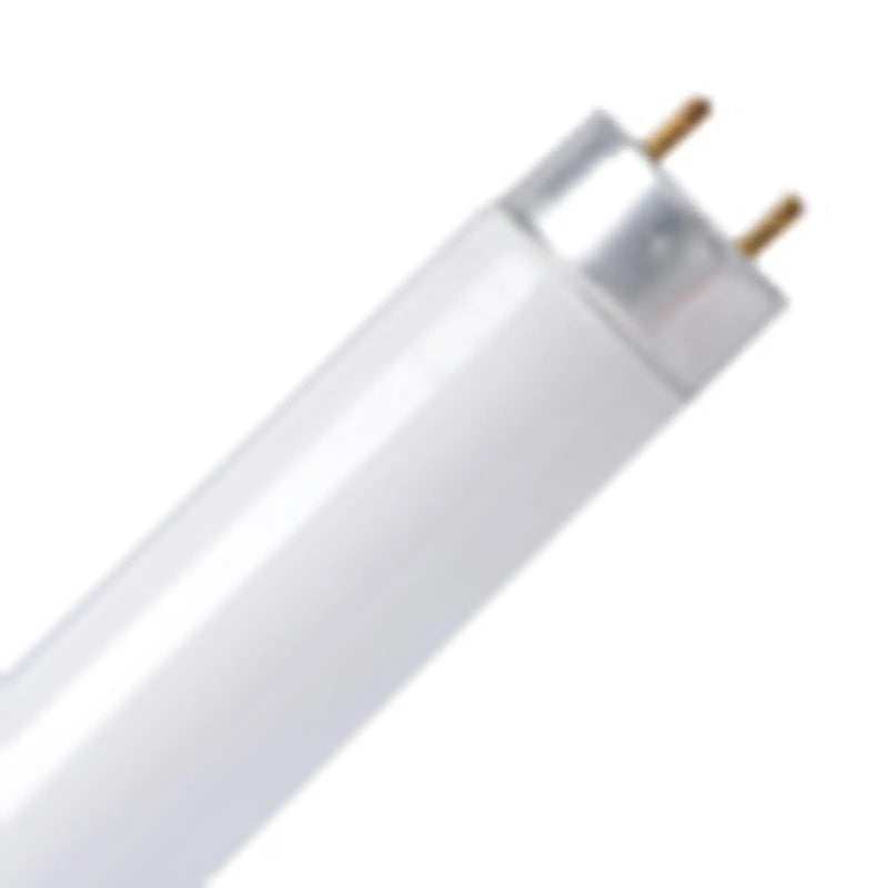 TCP LED T8 Tube Cool White 4ft