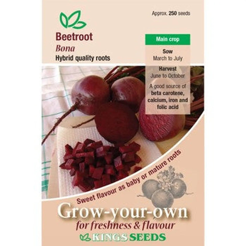 Kings Seeds Beetroot, Bona (PM B )