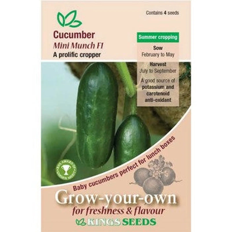 Kings Seeds Cucumber, Mini Munch F1 ( PM H )