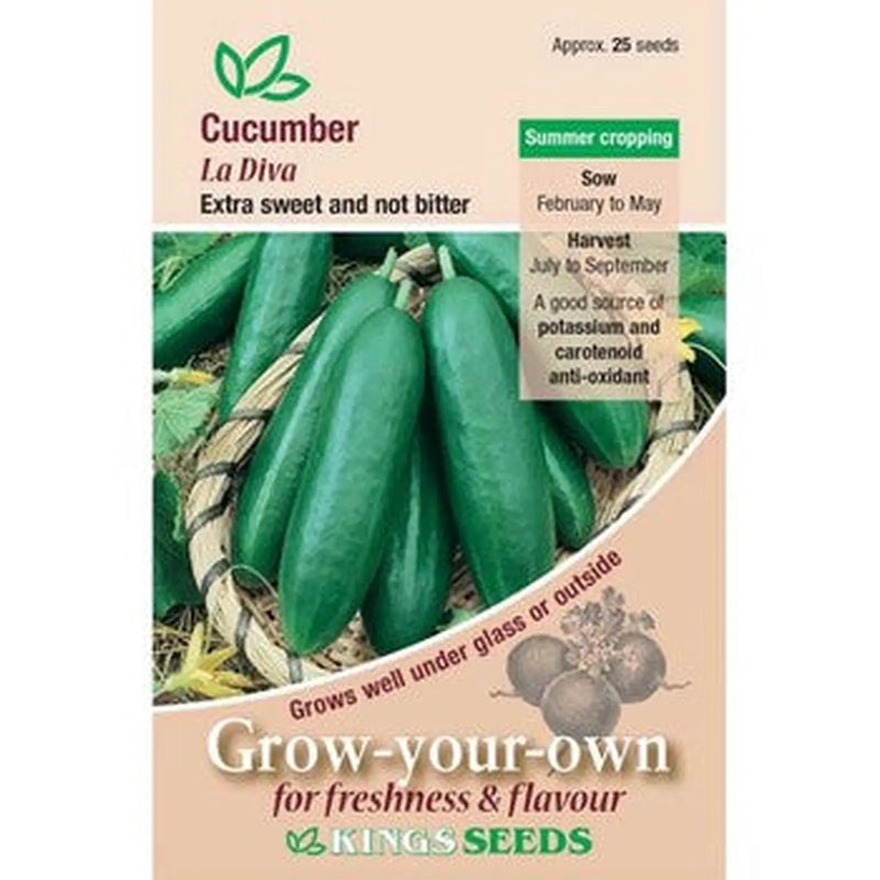 Kings Seeds Cucumber, La Diva (PM D)
