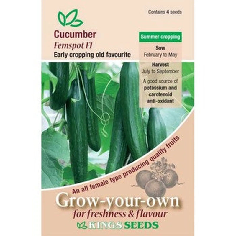 Kings Seeds Cucumber, Femspot F1 ( PM F )