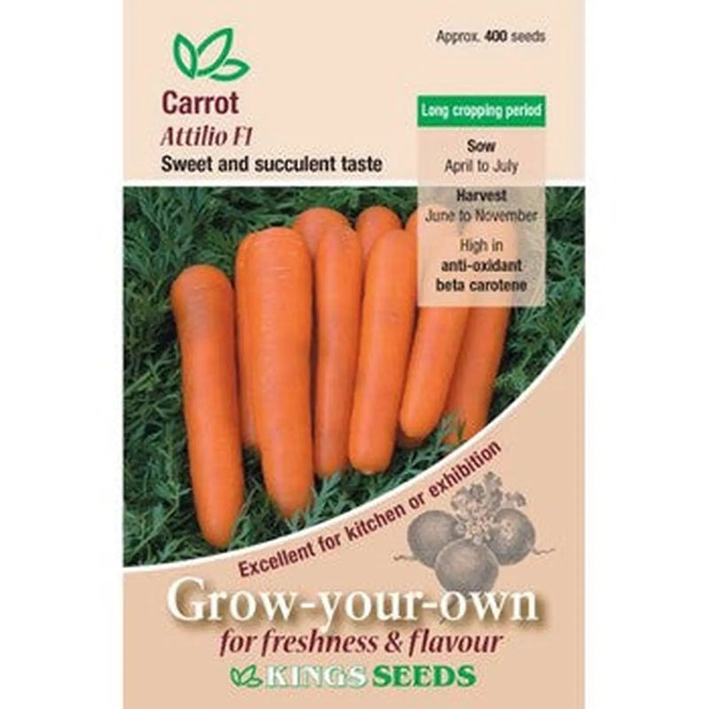 Kings Seeds Carrot, Attilo F1 (PM B)