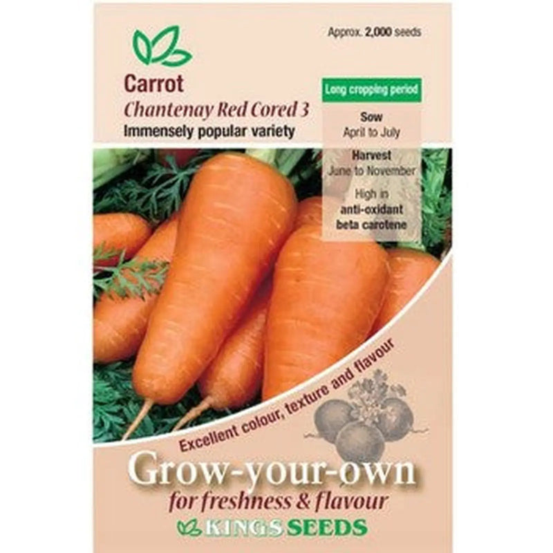 Kings Seeds Carrot, Chantenay Red Cored 3(PM A)