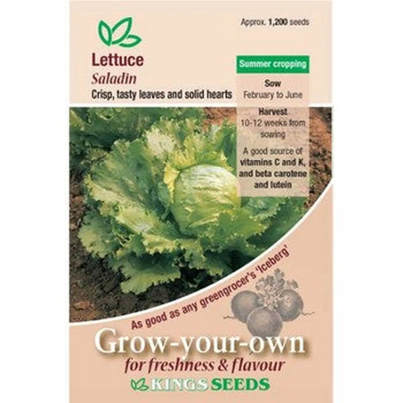 Kings Seeds Lettuce, Saladin (PM A)