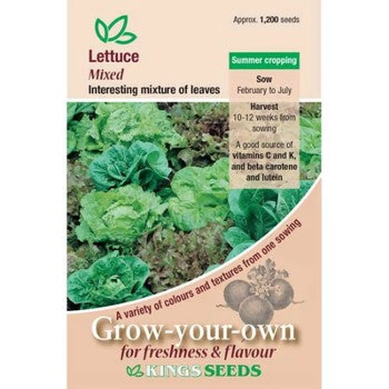 Kings Seeds Lettuce, Mixed (PM C )