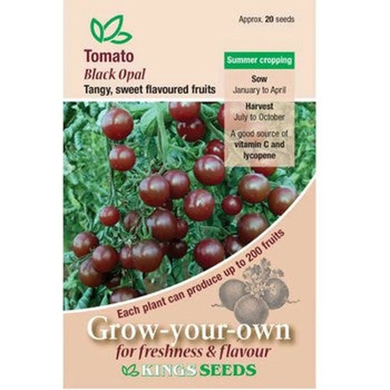 Kings Seeds Tomato, Black Opal (PM D )