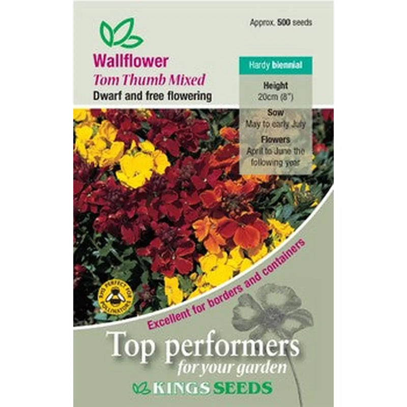 Kings Seeds Wallflower, Tom Thumb Mixed (PM D )