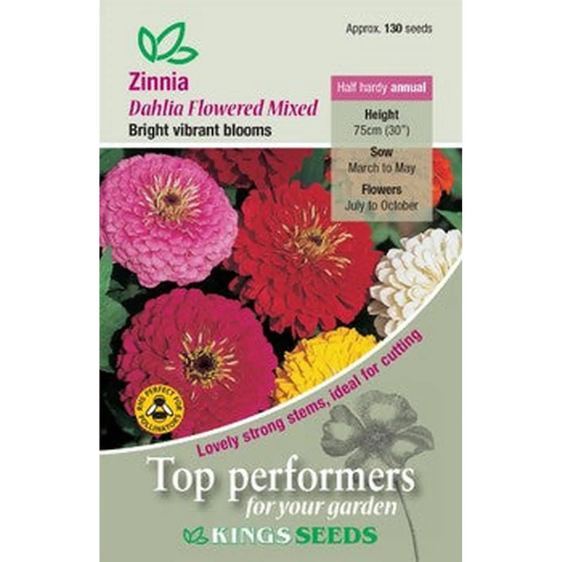 Kings Seeds Zinnia, Dahlia Flowered Mixed (PM D )