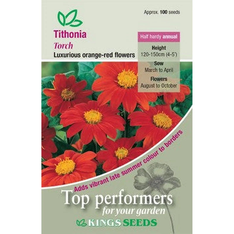 Kings seeds Tithonia, Torch (PM D)