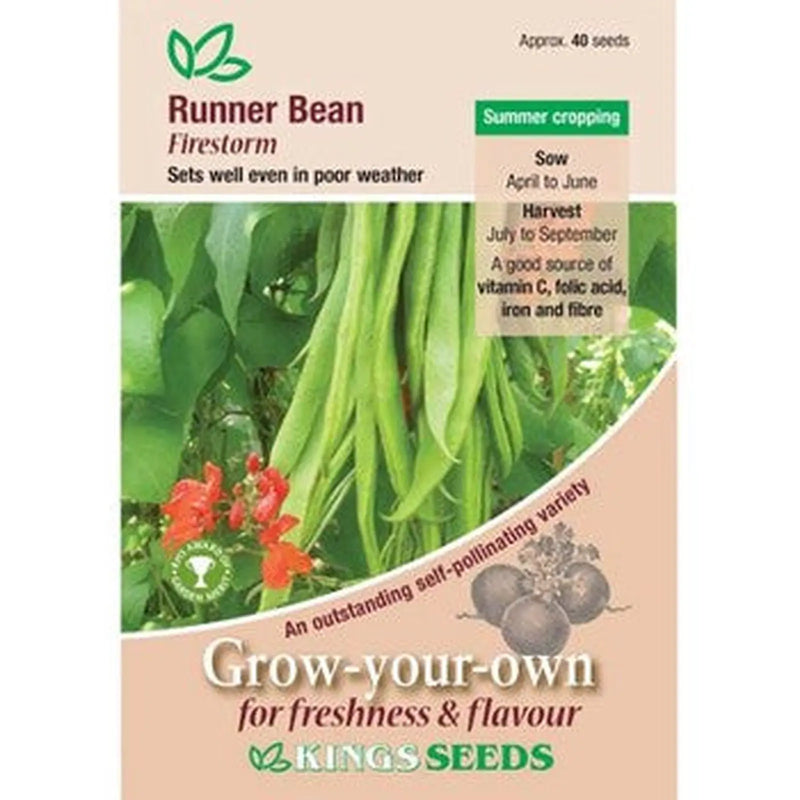Kings Seeds Runner Bean, Firestorm (PM H)