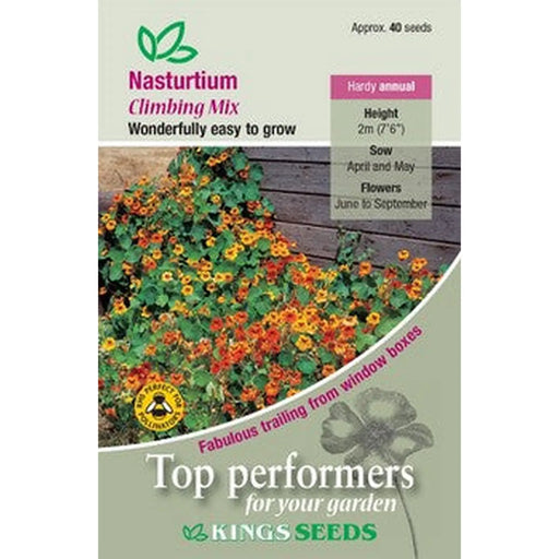 Kings Seeds Nasturtium, Climbing Mix (PM C)