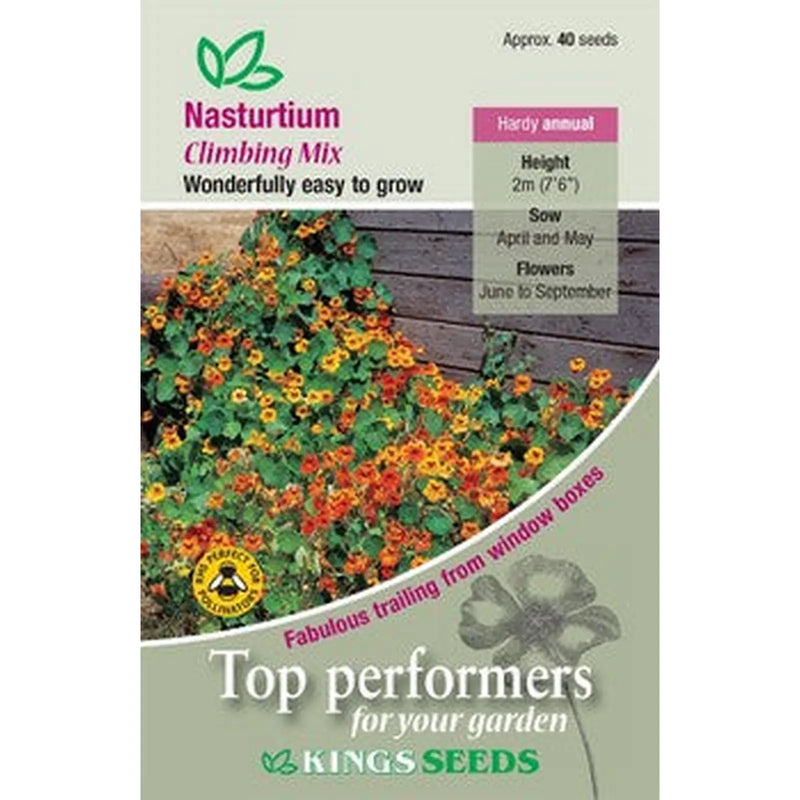 Kings Seeds Nasturtium, Climbing Mix (PM C)