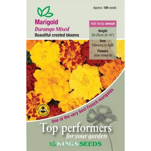 Kings Seeds Marigold, Durango Mixed (PM E)