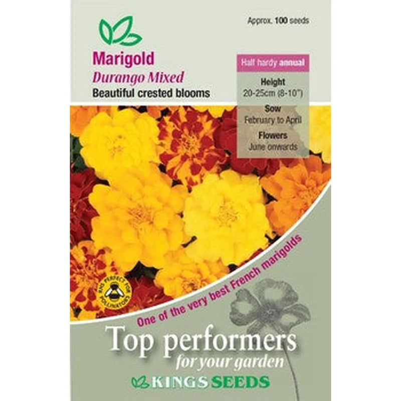 Kings Seeds Marigold, Durango Mixed (PM E)