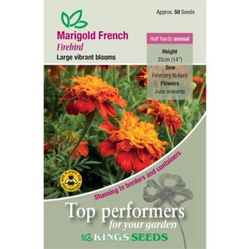 Kings Seeds Marigold French, Firebird (PM D)