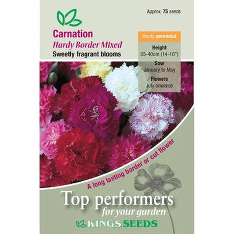 Kings Seeds Carnation, Hardy Border Mixed (PM C)