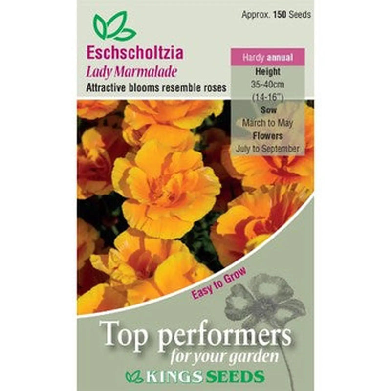 Kings Seeds Eschscholtzia, Lady Marmalade (PM D)