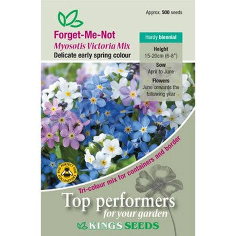 Kings Seeds Forget-Me-Not, Myosotis Victoria Mix (PM D)