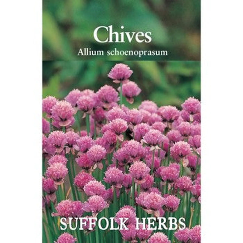 Kings Seeds Chives, (PM B)