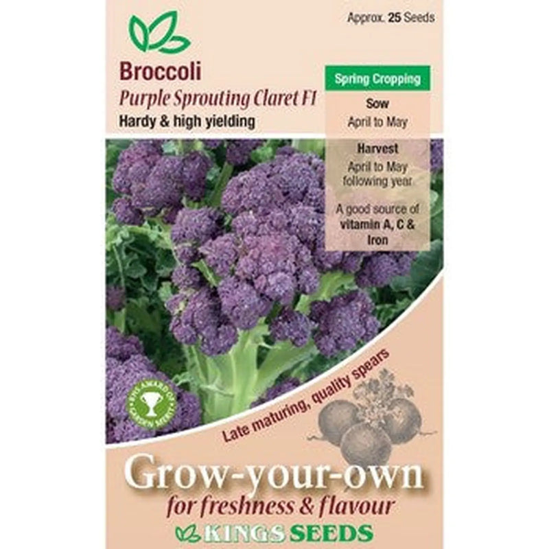 Kings Seeds Broccoli, Purple Sprouting Claret F1 (PM A)