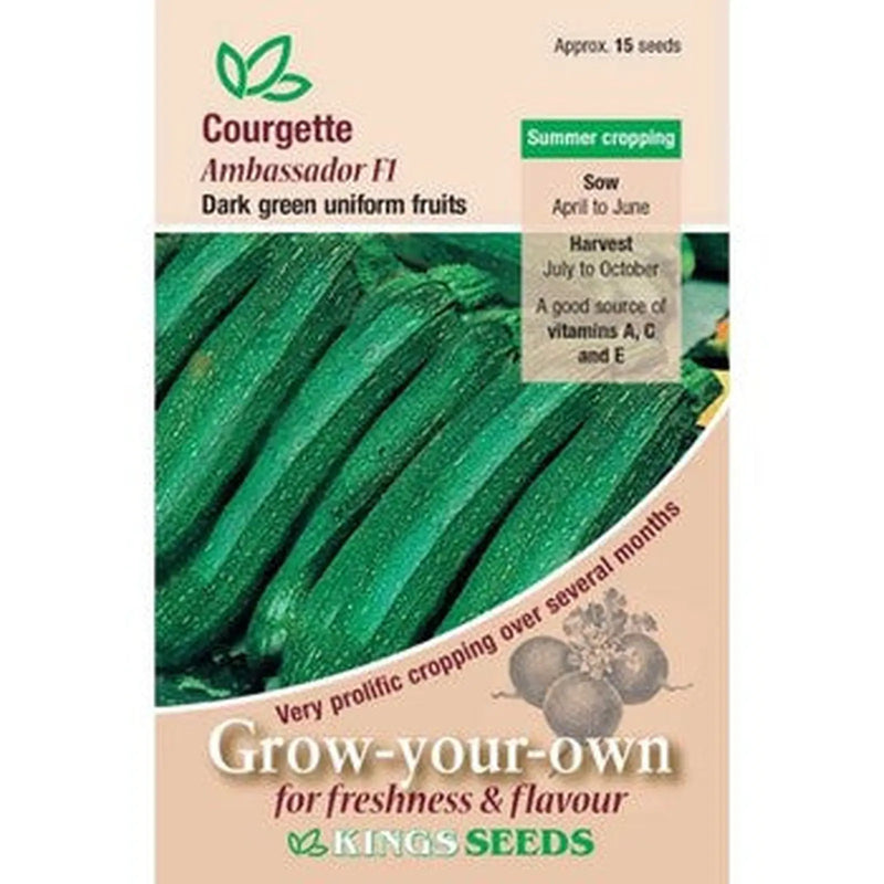 Kings Seeds Courgette, Ambassador F1 (PM B)