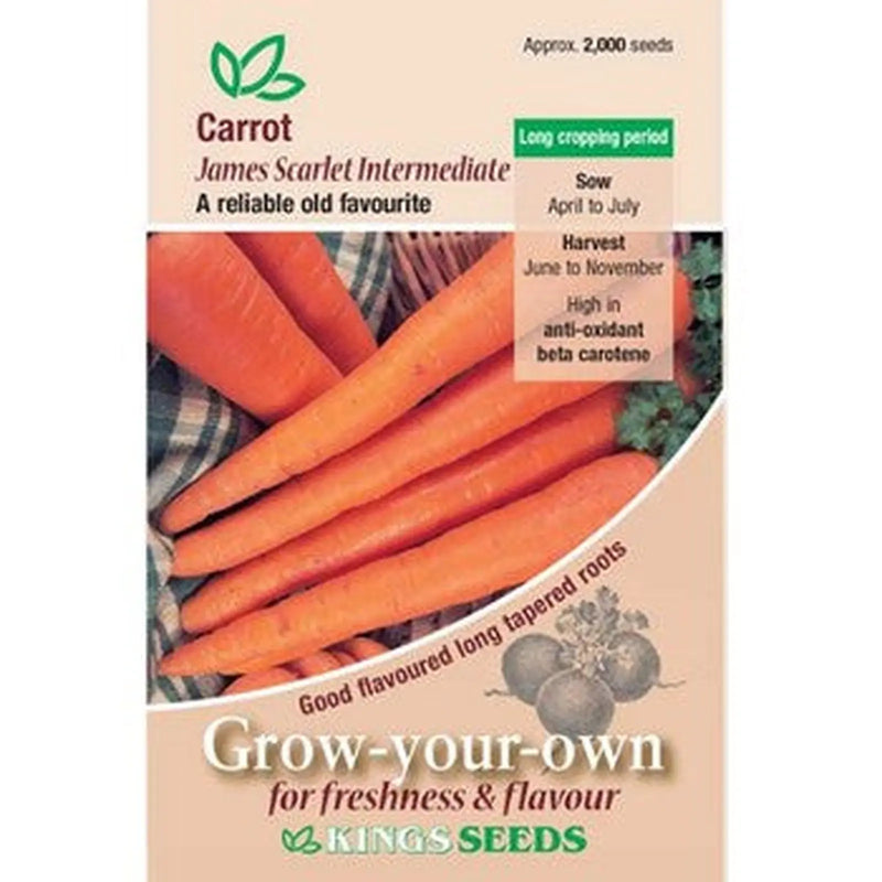 Kings Seeds Carrot, James Scarlet Intermediate (PM B)