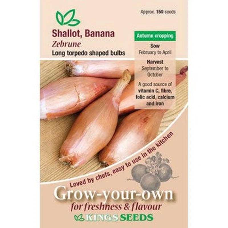 Kings Seeds Shallot, Zebrune ( PM B )