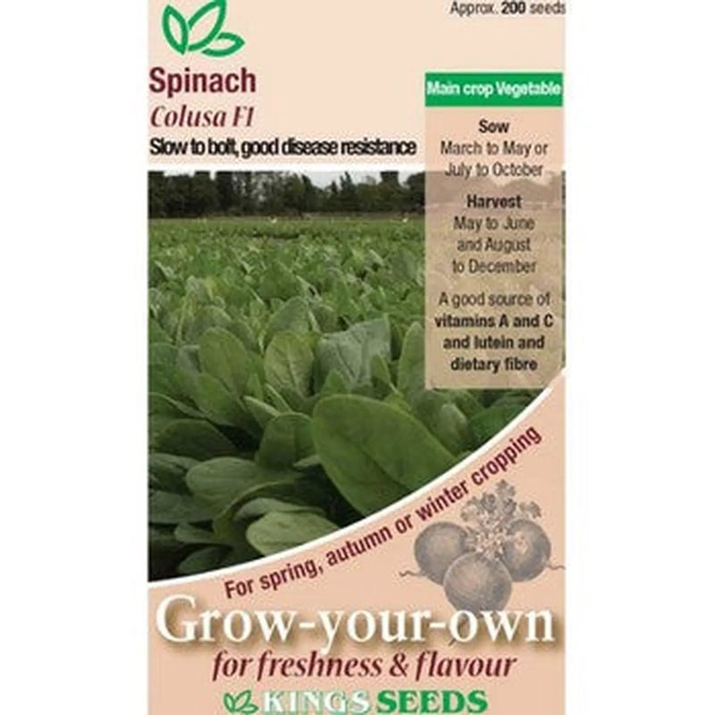 Kings Seeds Spinach, Colusa F1 ( PM A )