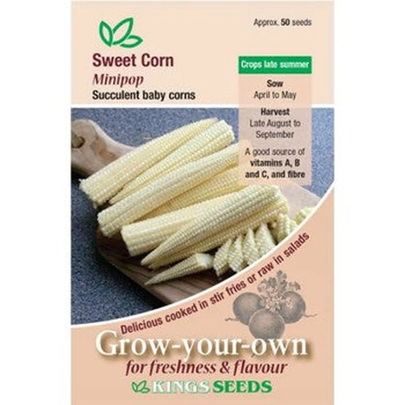 Kings Seeds Sweet Corn, Mini Pop (PM  B )