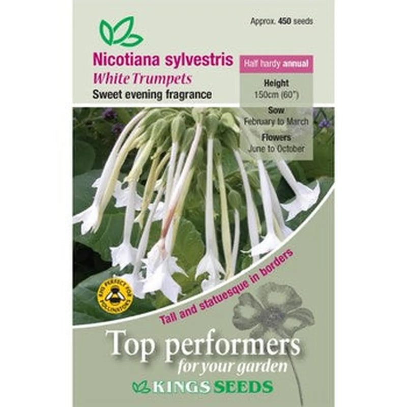Kings Seeds Nicotiana sylvestris, White Trumpets (PM D)