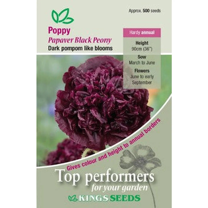 Kings Seeds Poppy, Papaver Black Peony (PM C)