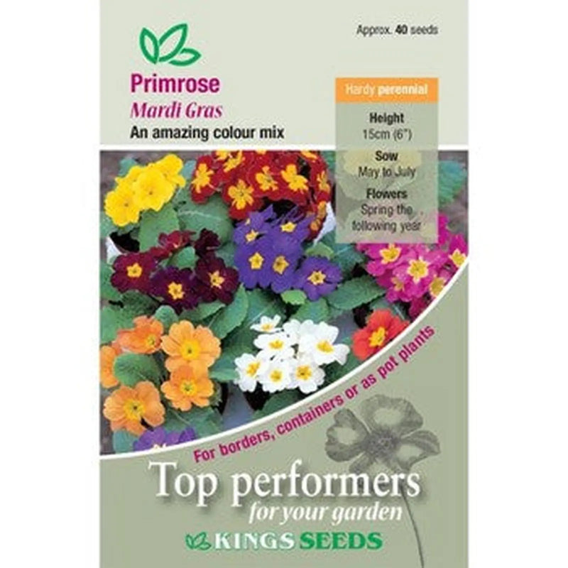Kings Seeds Primrose, Mardi Gras (PM F)