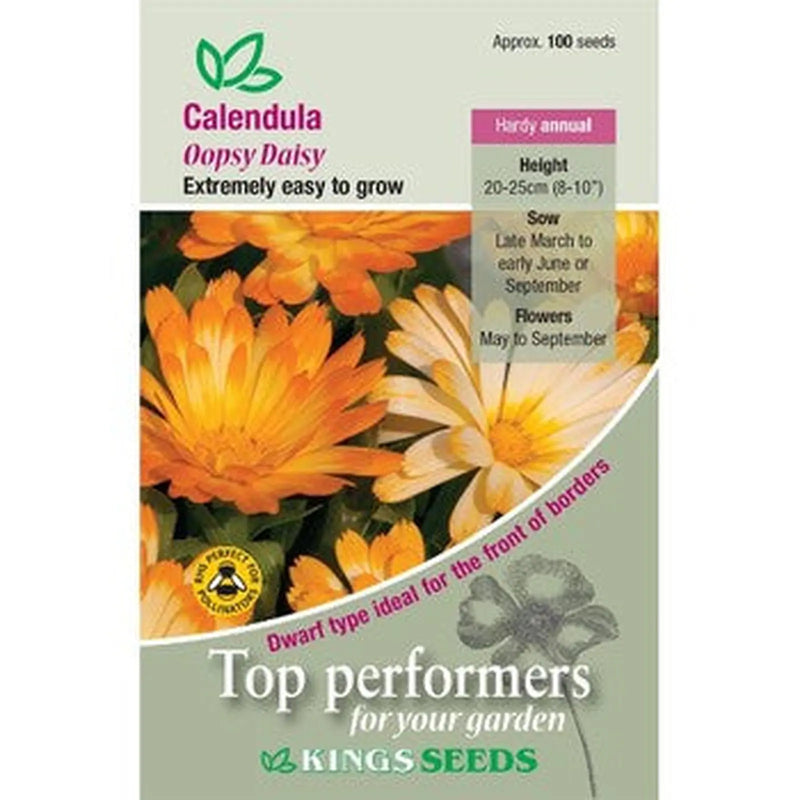 Kings Seeds Calendula, Oopsy Daisy (PM D)