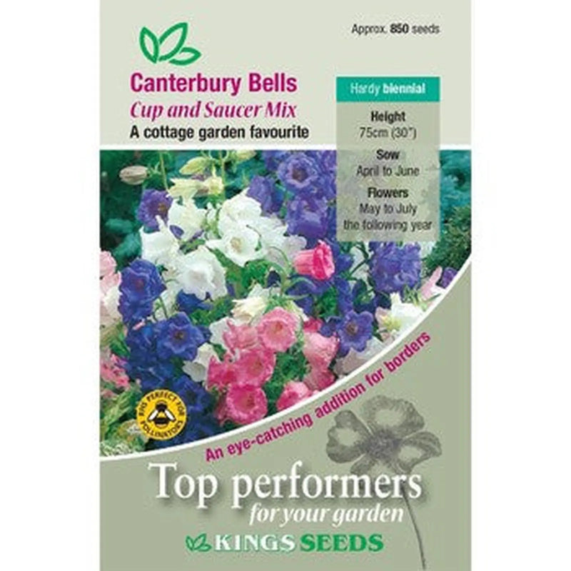 Kings Seeds Canterbury Bells, Cup and Saucer Mix (PM C)