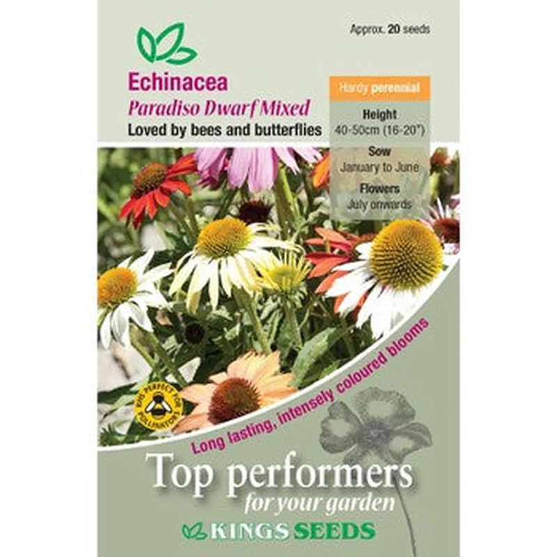 Kings Seeds Echinacea, Paradiso Dwarf Mixed (PM F)