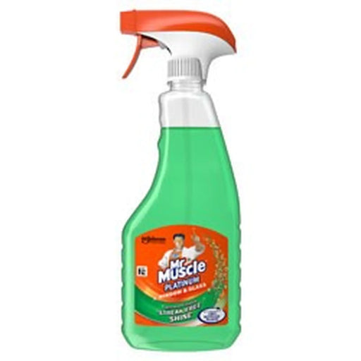 rayburn Mr Muscle Window & Glass 500ml