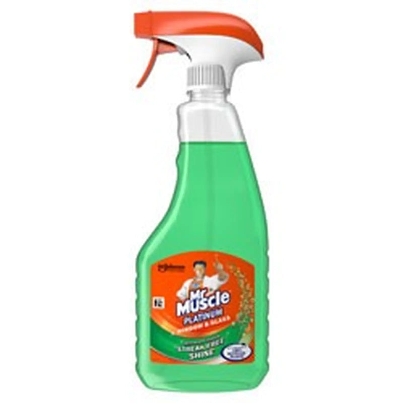 rayburn Mr Muscle Window & Glass 500ml