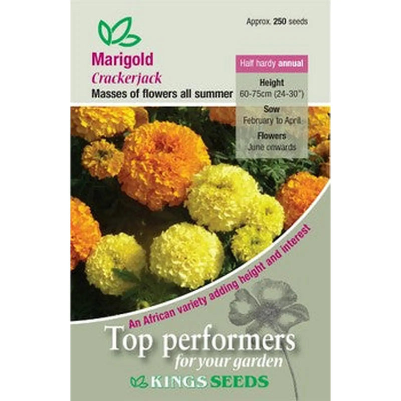 Kings Seeds Marigold, Crackerjack (PM C)